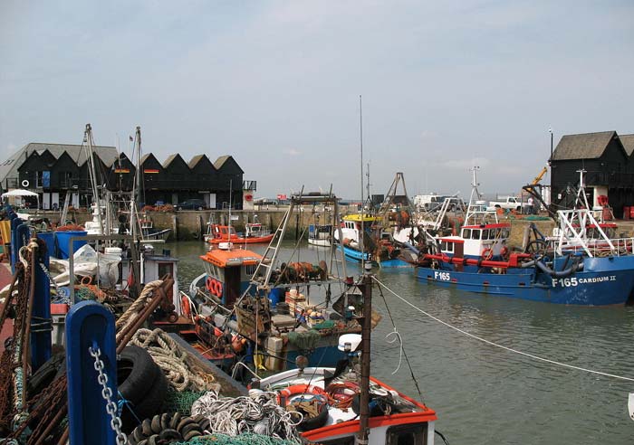 Whitstable harbour